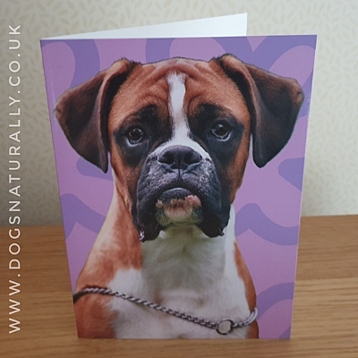 Boxer Jazzy Greetings Card